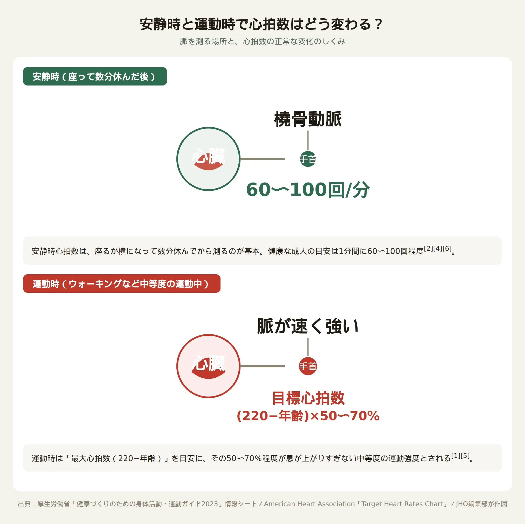 安静時と運動時で心拍数はどう変わるかを示す図解