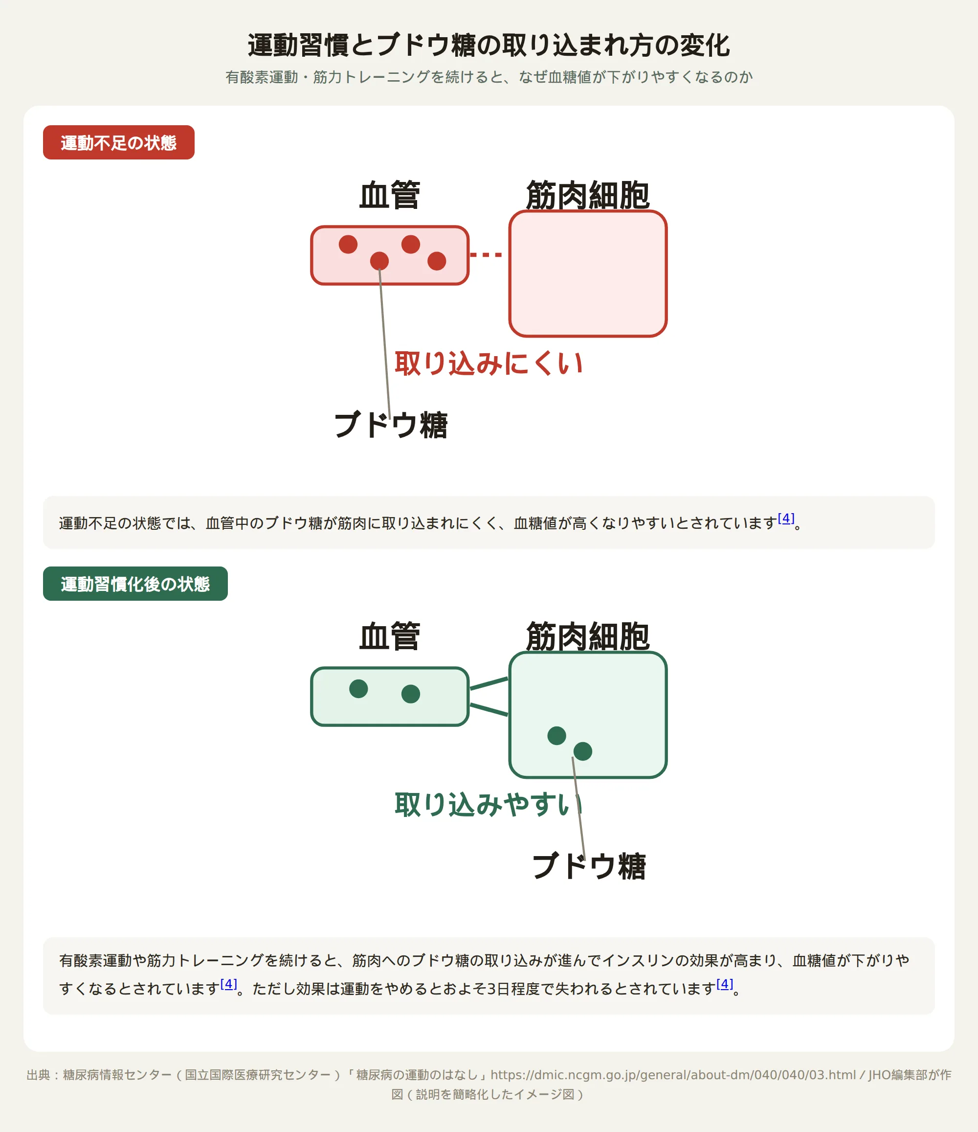 運動習慣とブドウ糖の取り込まれ方の変化を示す図