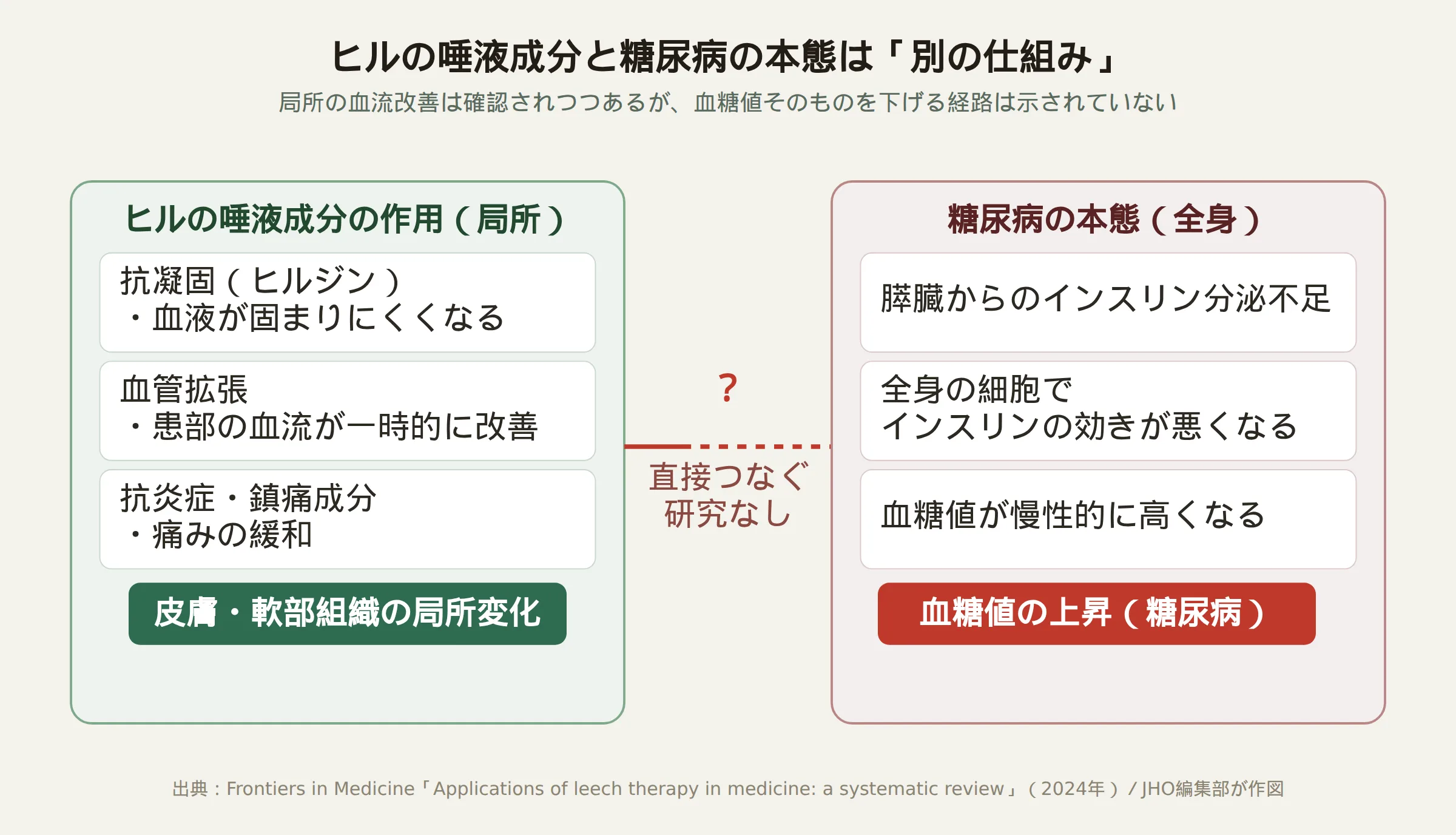 ヒルの唾液成分の局所的な作用と、糖尿病の本態（インスリン分泌不足・インスリン抵抗性）は別の仕組みであることを示す図