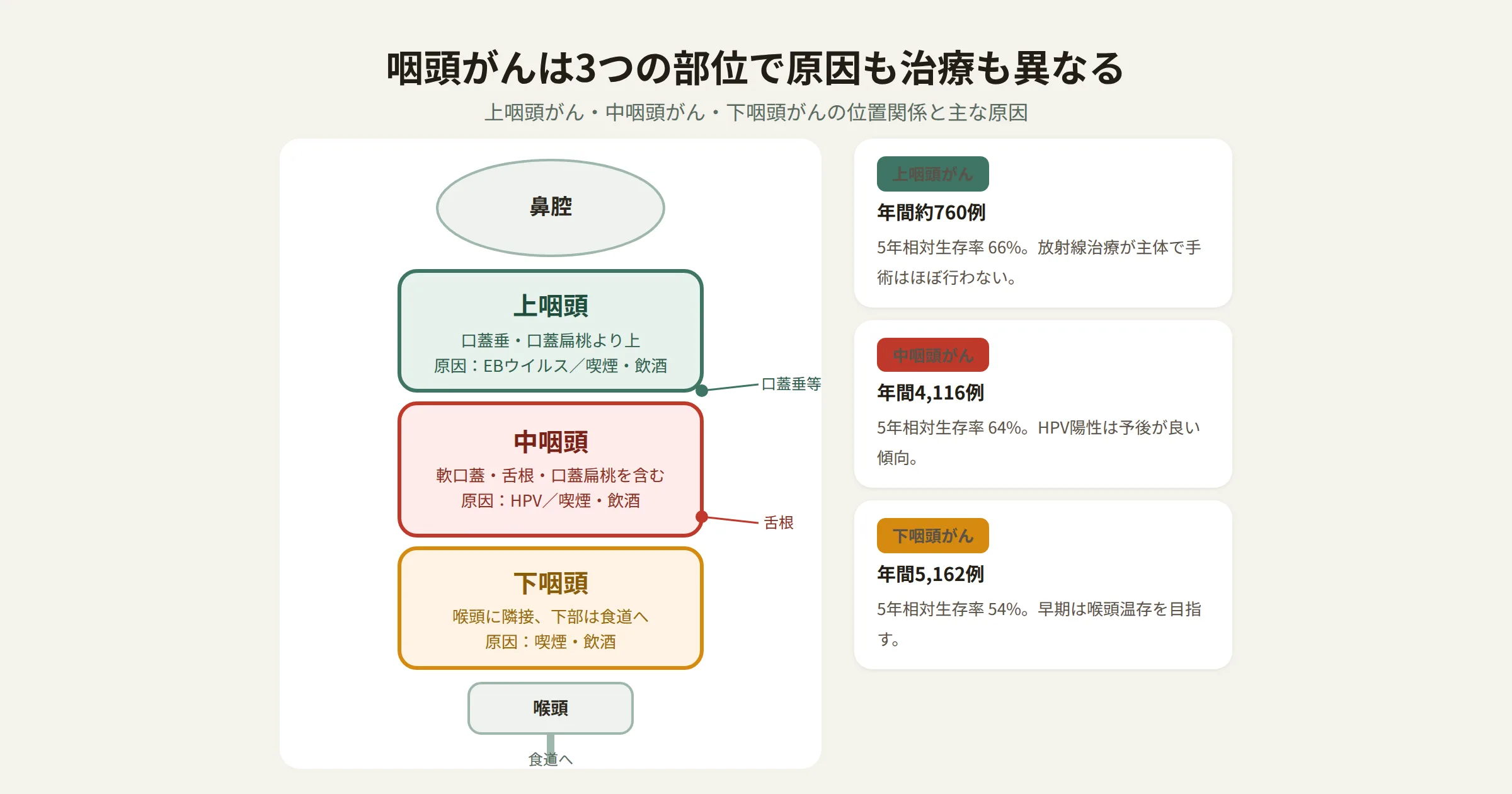 上咽頭・中咽頭・下咽頭の位置関係と、それぞれの主な原因・年間患者数・5年相対生存率を示した図（h-fcb3d081）