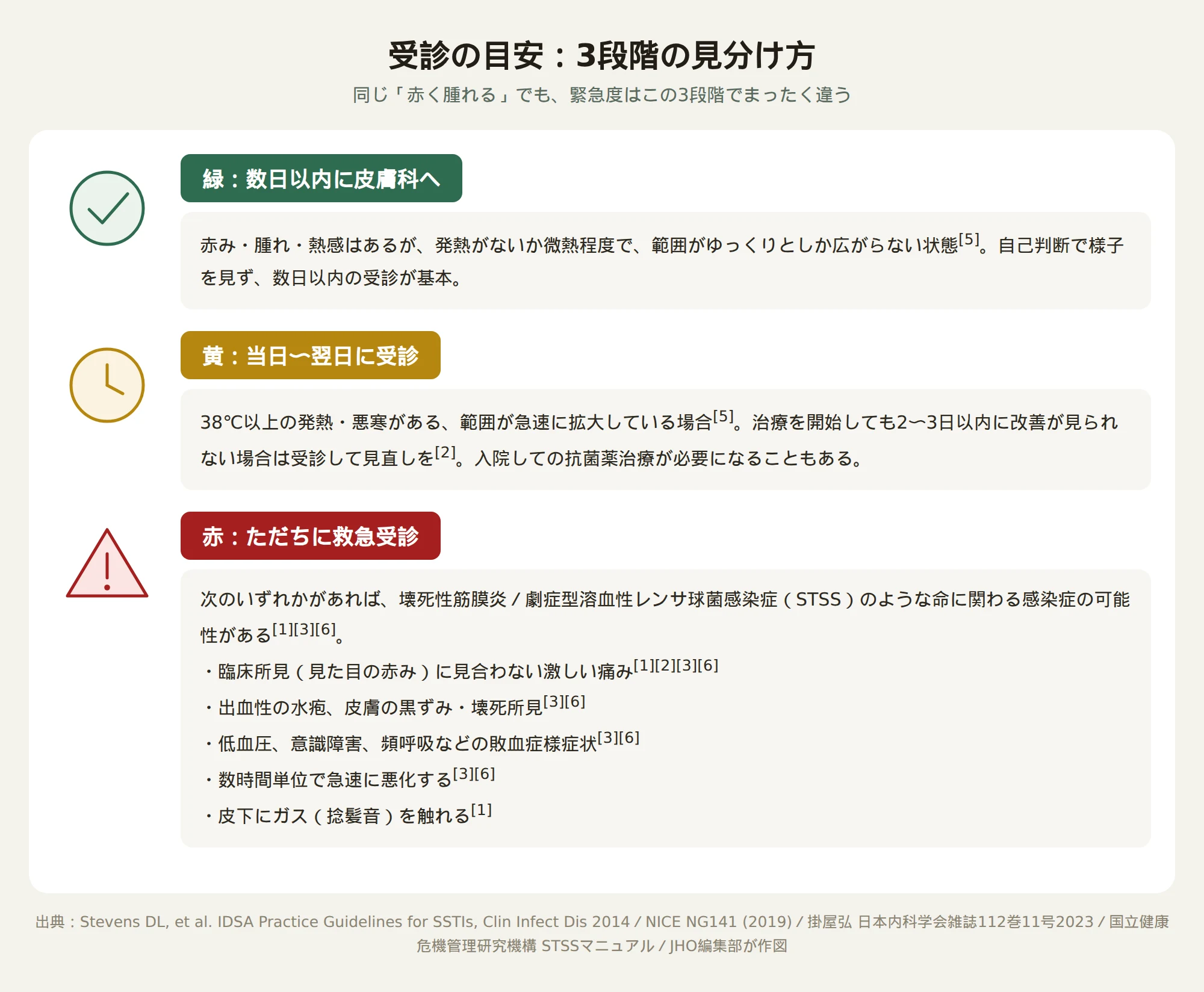 受診の目安を緑（数日以内に皮膚科へ）・黄（当日〜翌日に受診）・赤（ただちに救急受診）の3段階で示したフローチャート。赤の段階には臨床所見に見合わない激しい痛み・出血性の水疱・皮膚の黒ずみ・低血圧や意識障害・数時間単位での急速な悪化・皮下のガス（捻髪音）という具体的な赤旗所見が箇条書きで示されている
