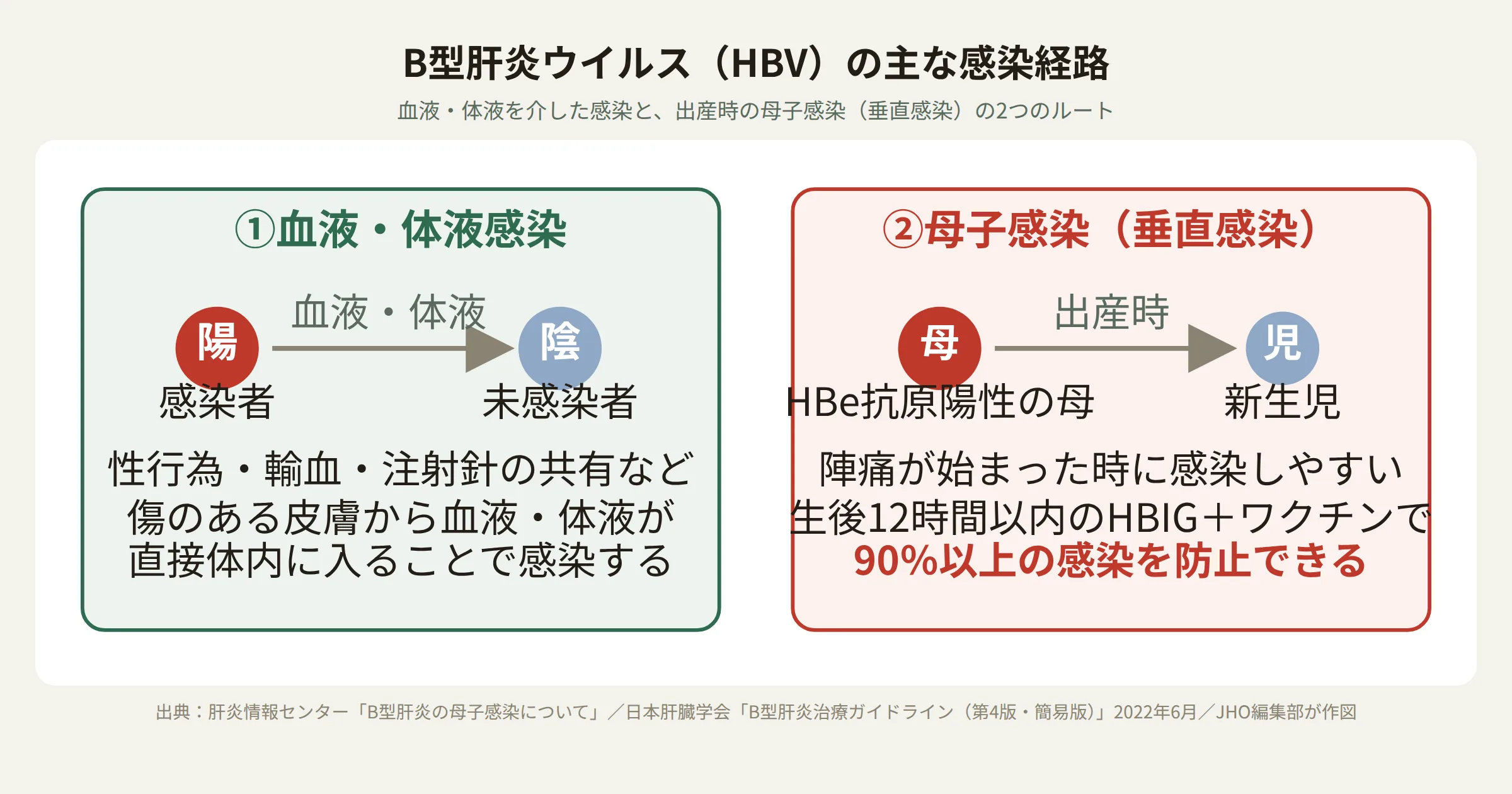 B型肝炎ウイルスの主な感染経路。血液・体液感染と母子感染（垂直感染）の2つのルートを示す図