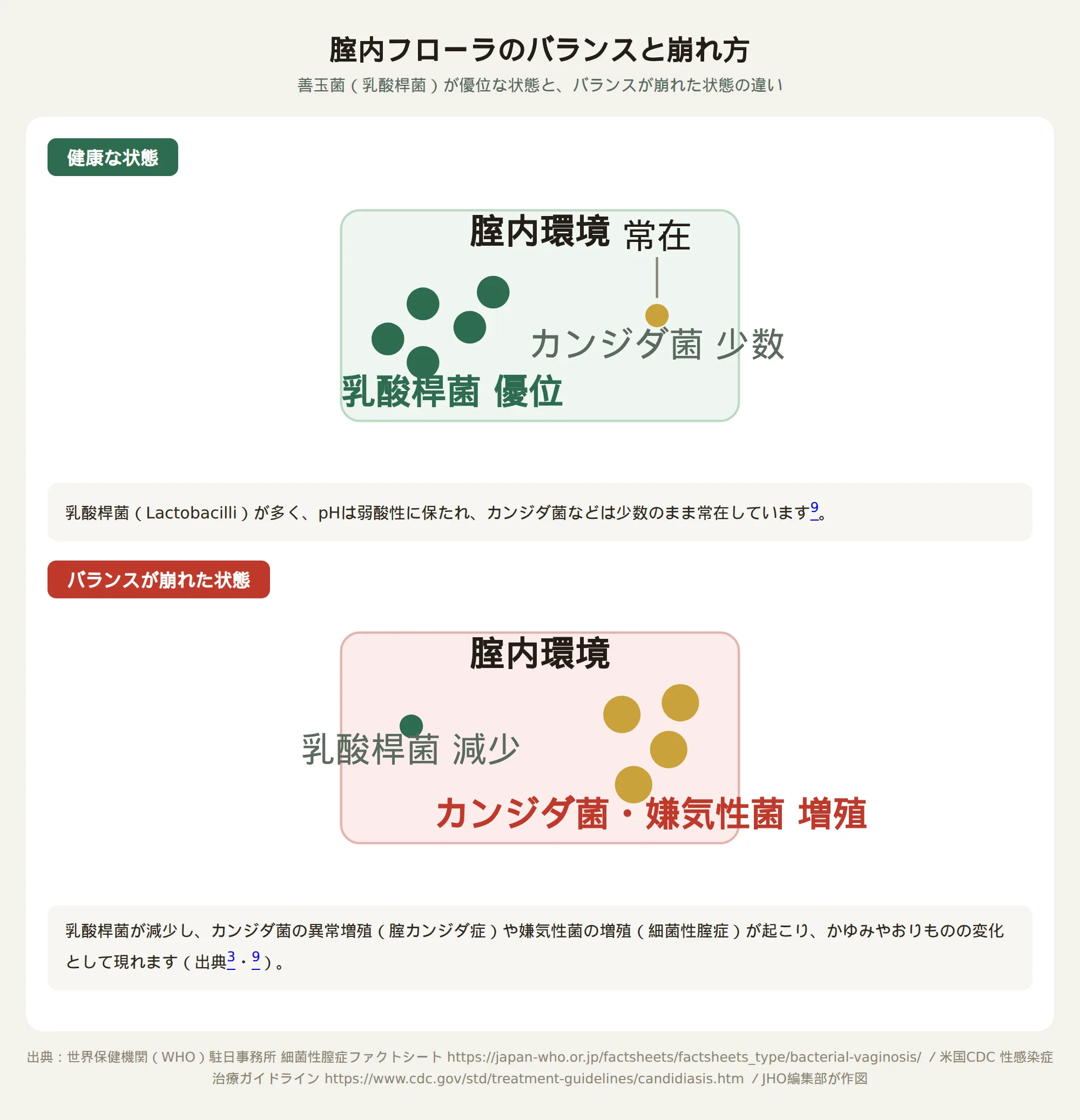 腟内フローラのバランスと崩れ方を示す図解、乳酸桿菌優位の健康な状態とカンジダ菌・嫌気性菌が増殖したバランスが崩れた状態を比較