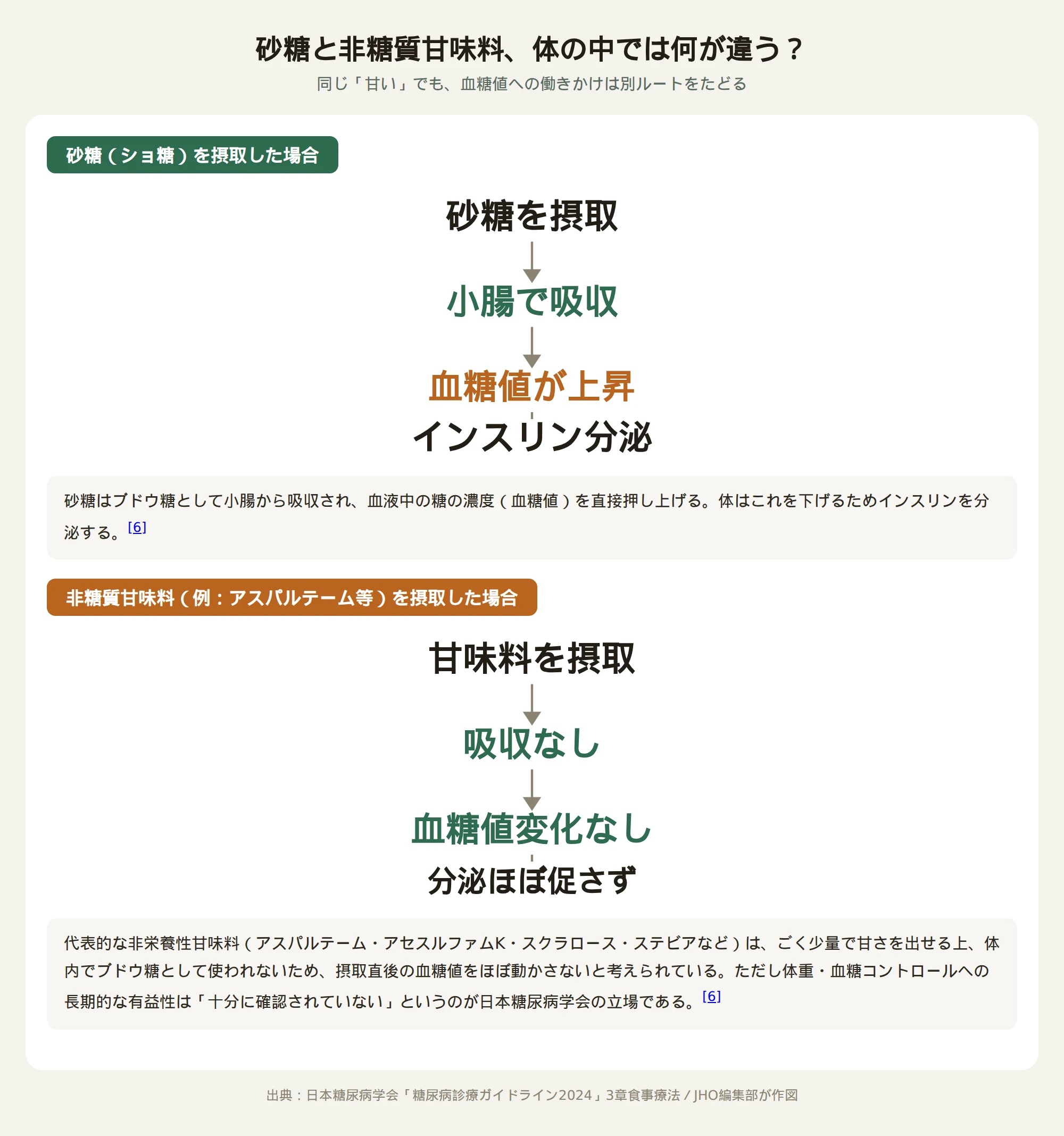 砂糖と非糖質甘味料が体内でたどる経路の違いを示す図