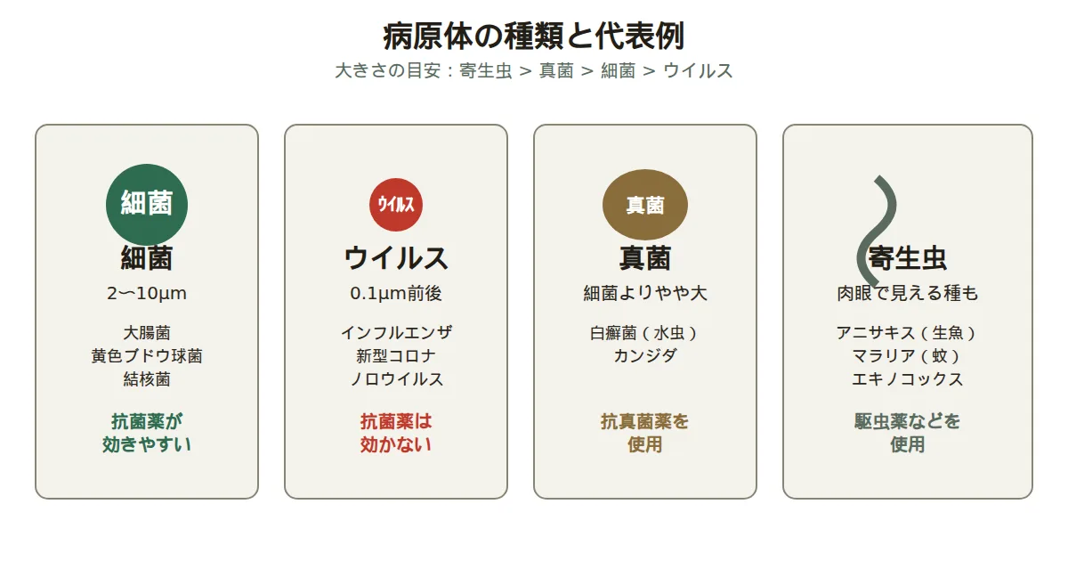 感染症の病原体の種類（細菌・ウイルス・真菌・寄生虫）と代表例を示す図解