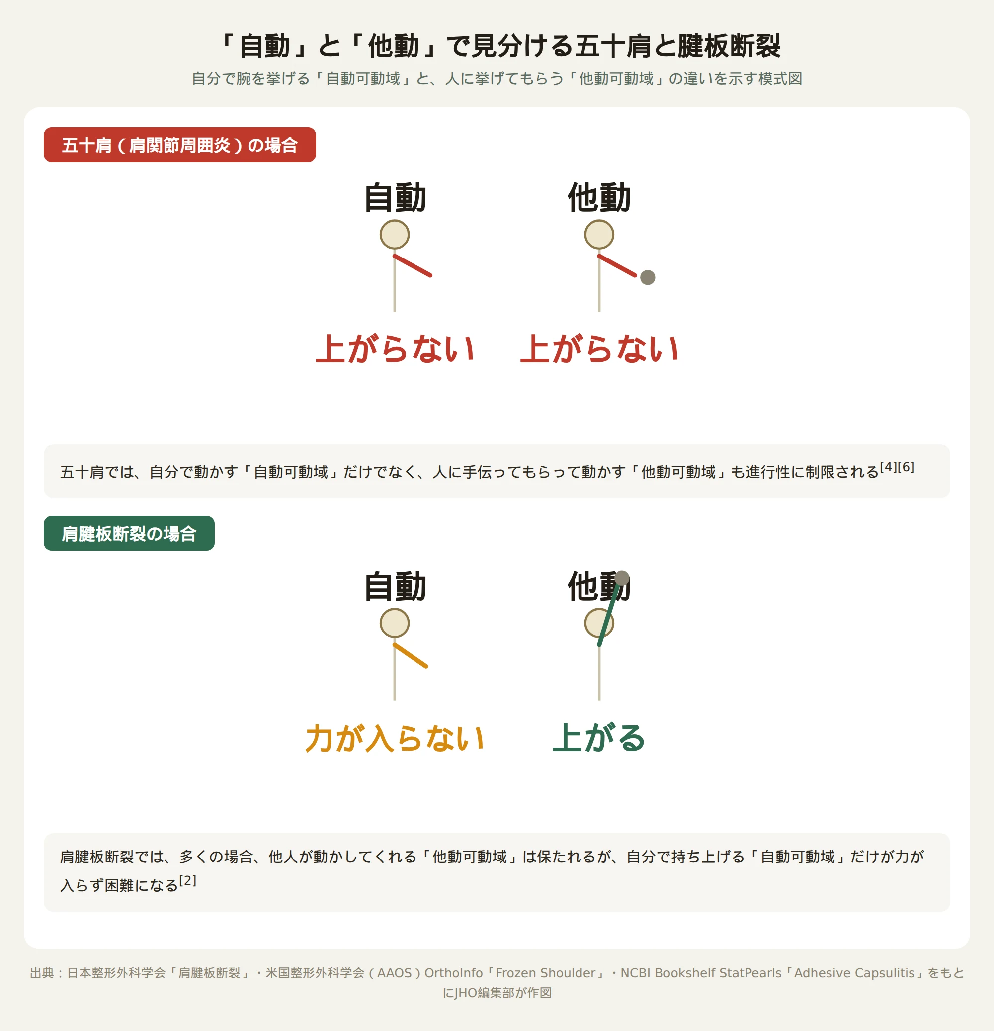 五十肩と肩腱板断裂それぞれについて、自分で腕を挙げる自動可動域と、人に挙げてもらう他動可動域の違いを比較する図。五十肩では自動・他動ともに腕が上がらず、肩腱板断裂では自動では力が入らず上がりにくいが他動では高く上がることを示す