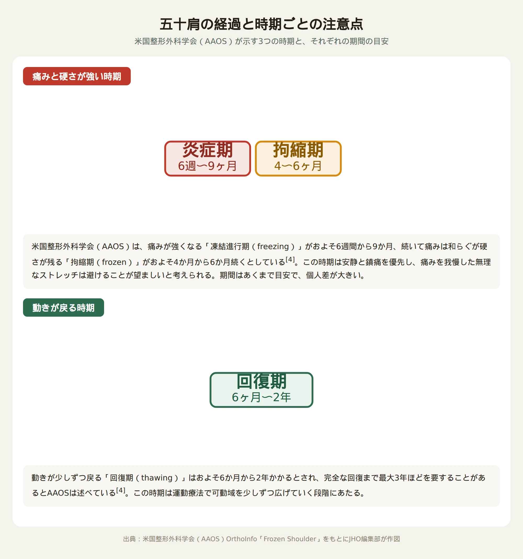 米国整形外科学会が示す五十肩の経過を、痛みと硬さが強い時期（炎症期・拘縮期）と動きが戻る時期（回復期）に分け、それぞれの期間の目安とあわせて示す図