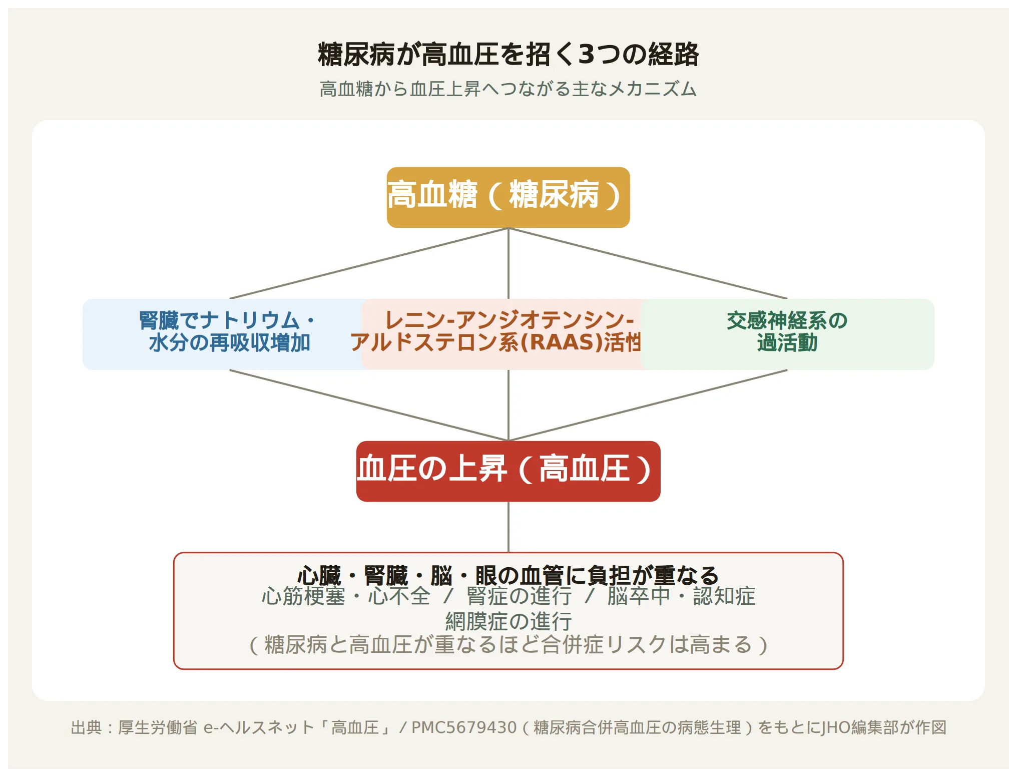 高血糖からナトリウム再吸収増加、RAAS活性化、交感神経過活動という3つの経路を経て血圧が上昇し、心臓・腎臓・脳・眼に負担がかかる仕組みを示す模式図