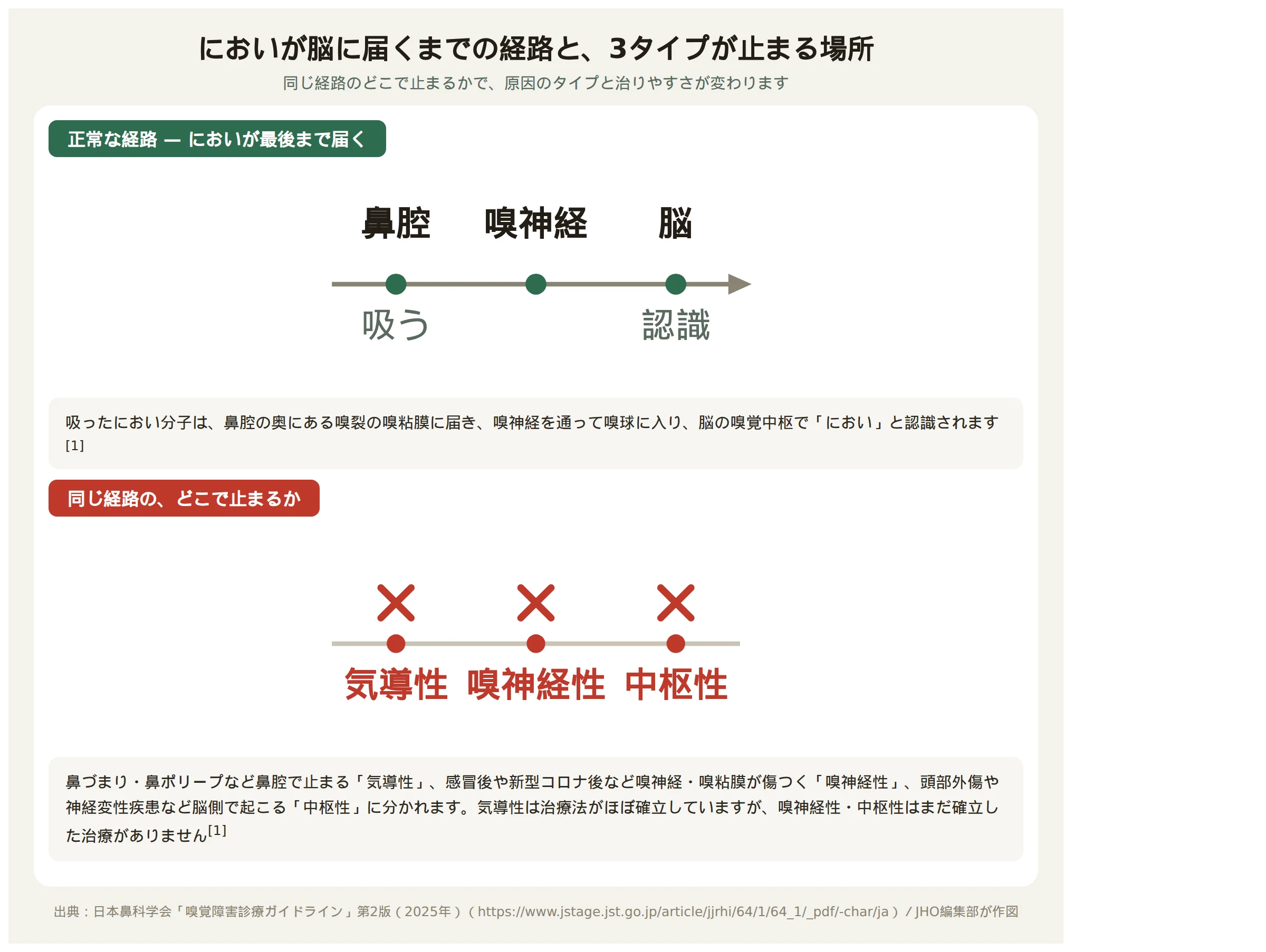 においが脳に届くまでの経路と、気導性・嗅神経性・中枢性の3タイプが止まる場所を示す図
