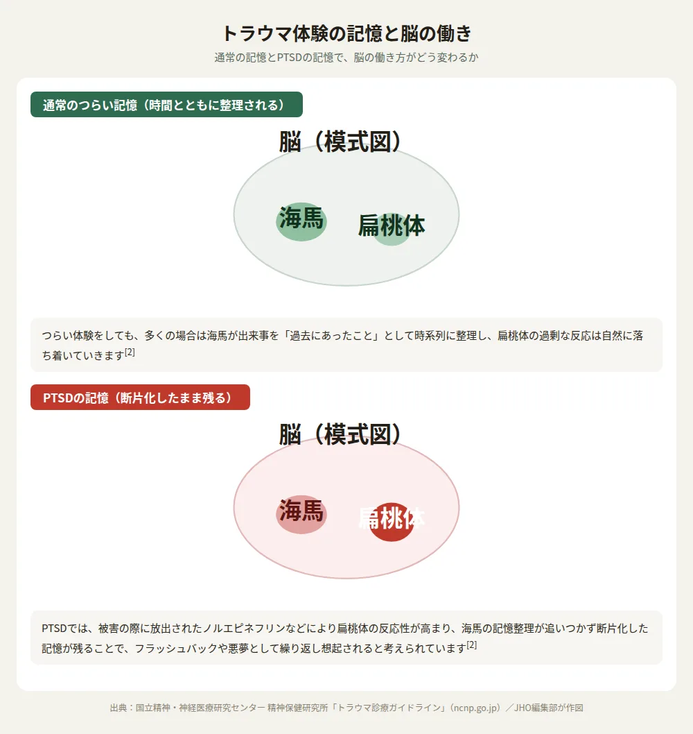 PTSDでは扁桃体の反応性が高まり海馬の記憶整理が追いつかず記憶が断片化する仕組みを示す模式図