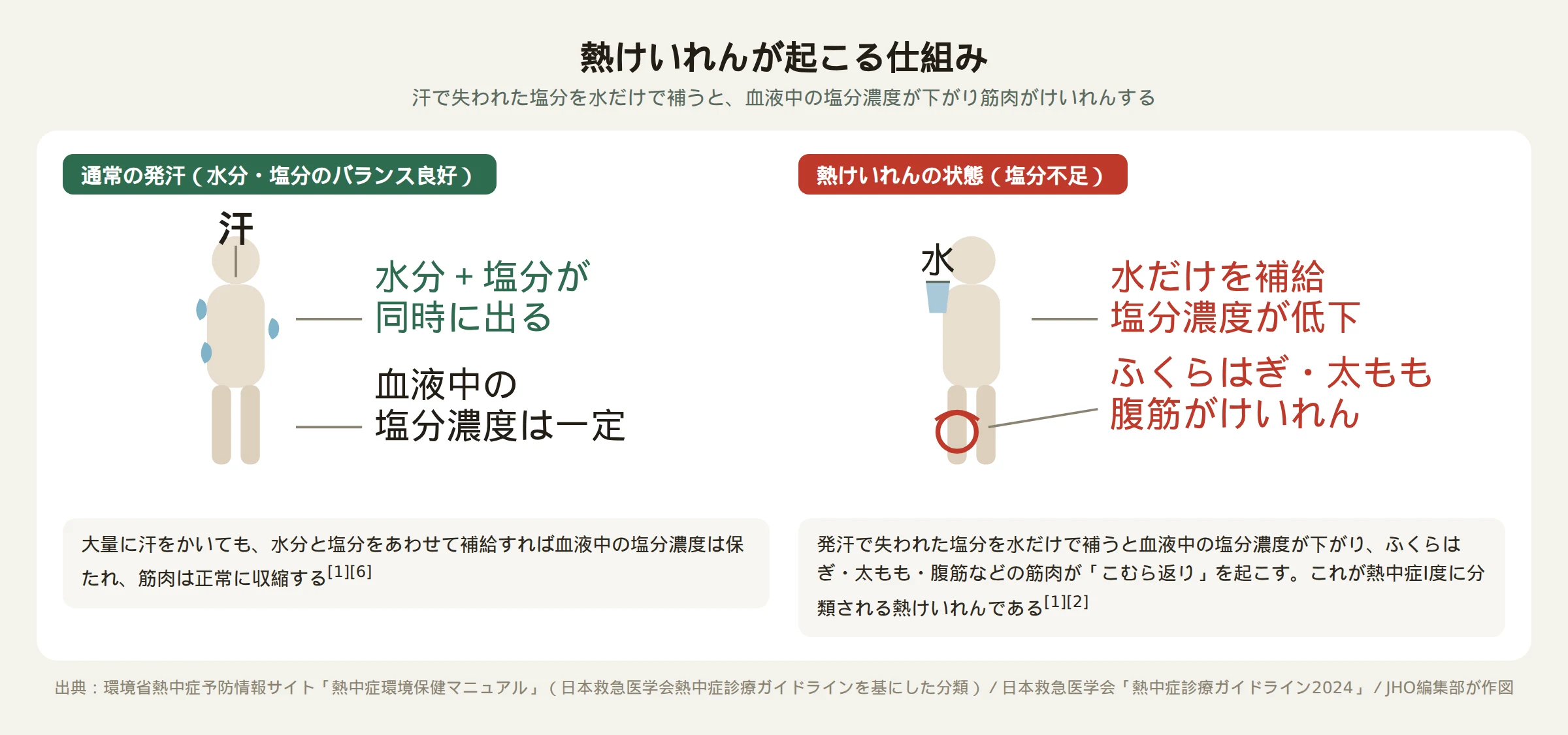熱けいれんが起こる仕組みを示す図。通常の発汗では血液中の塩分濃度が保たれるが、水分だけを補給すると塩分濃度が下がりふくらはぎなどの筋肉がけいれんする