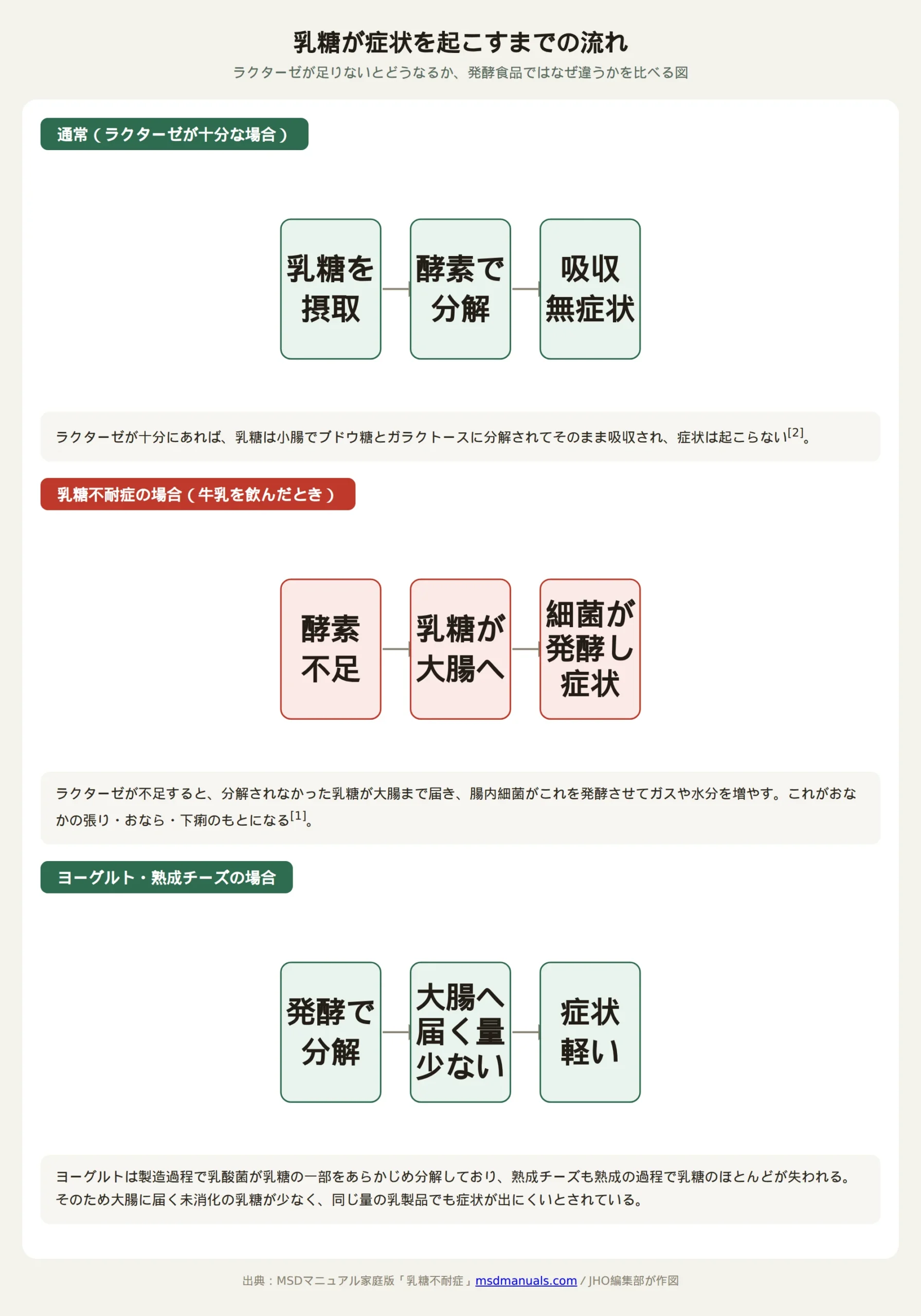 ラクターゼ不足により未消化の乳糖が大腸で発酵して症状が出る仕組みと、乳製品による差を示した図