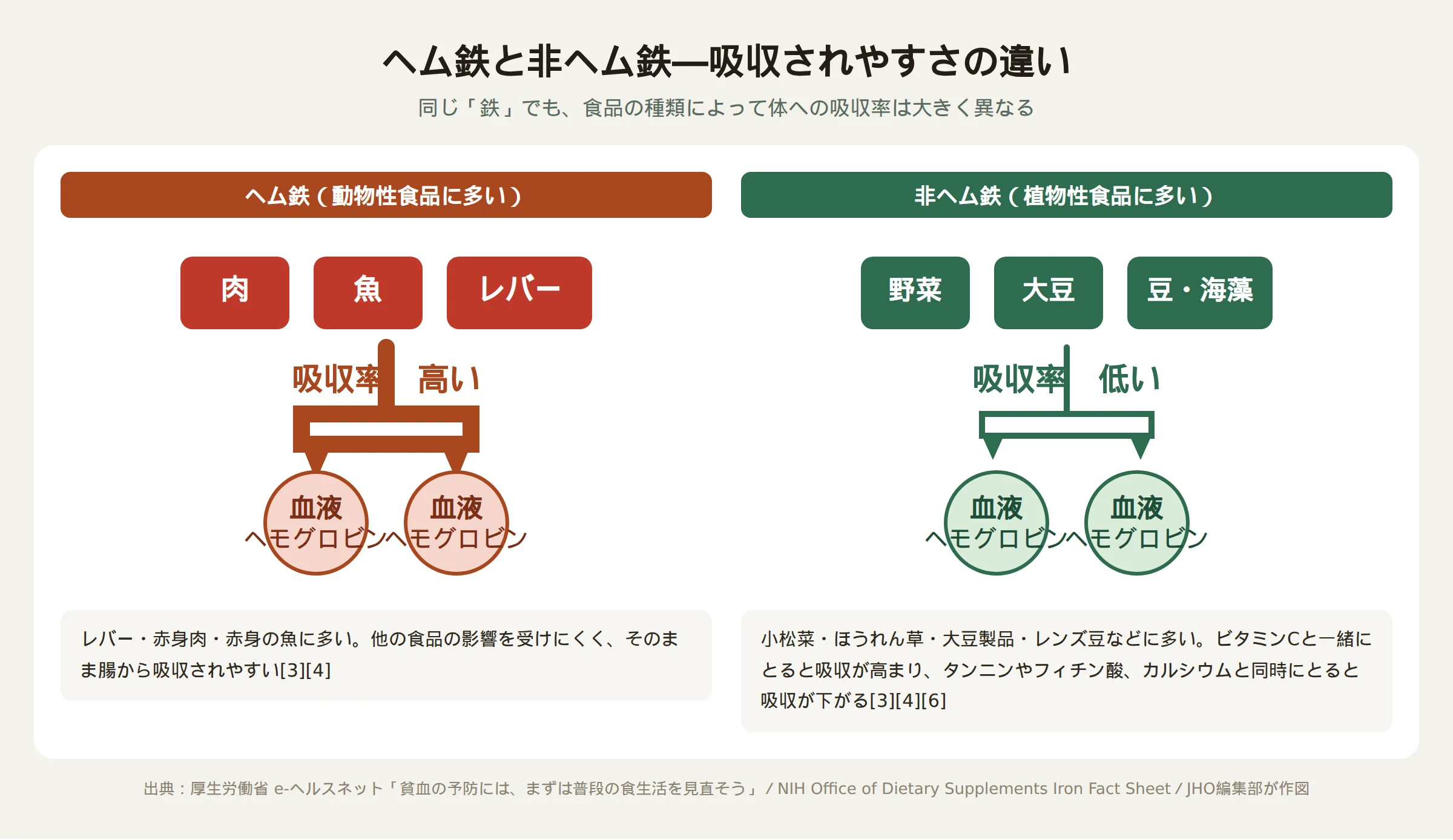ヘム鉄と非ヘム鉄の吸収されやすさの違いを示す図