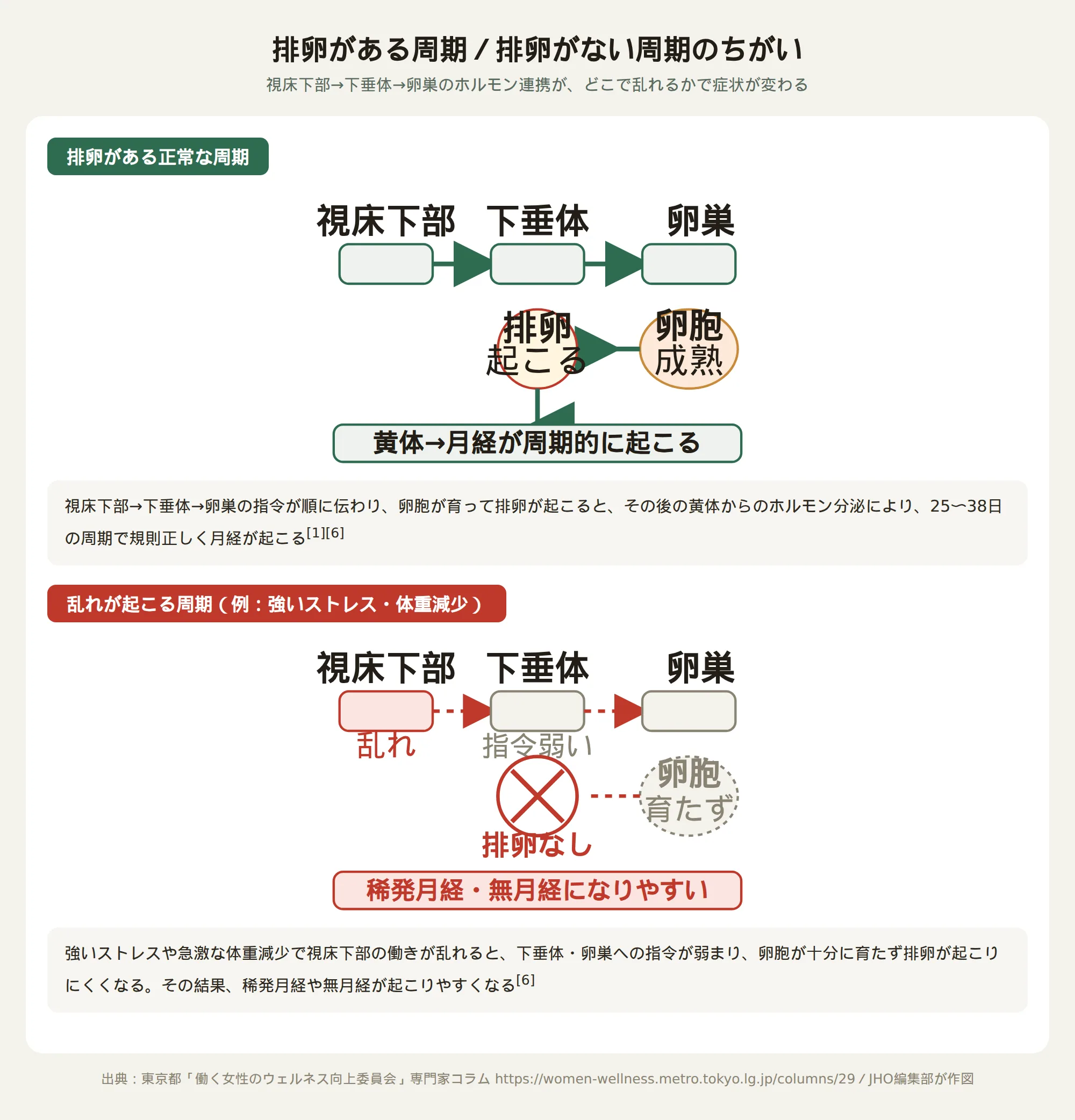 排卵がある正常な周期と、ストレスなどで視床下部の働きが乱れ排卵が起こらない周期の違いを示す図