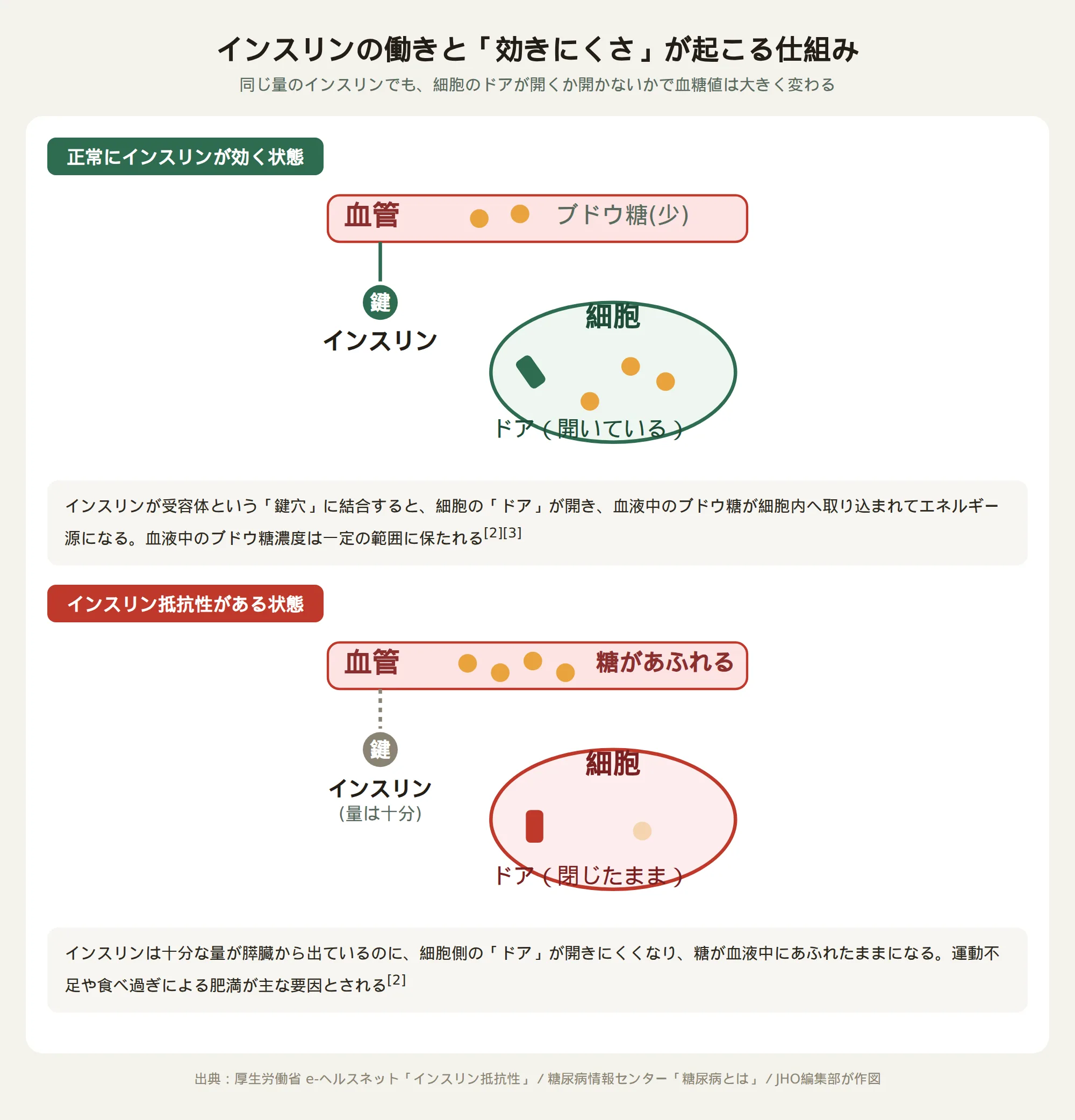 正常にインスリンが効く状態とインスリン抵抗性がある状態の違いを示す図