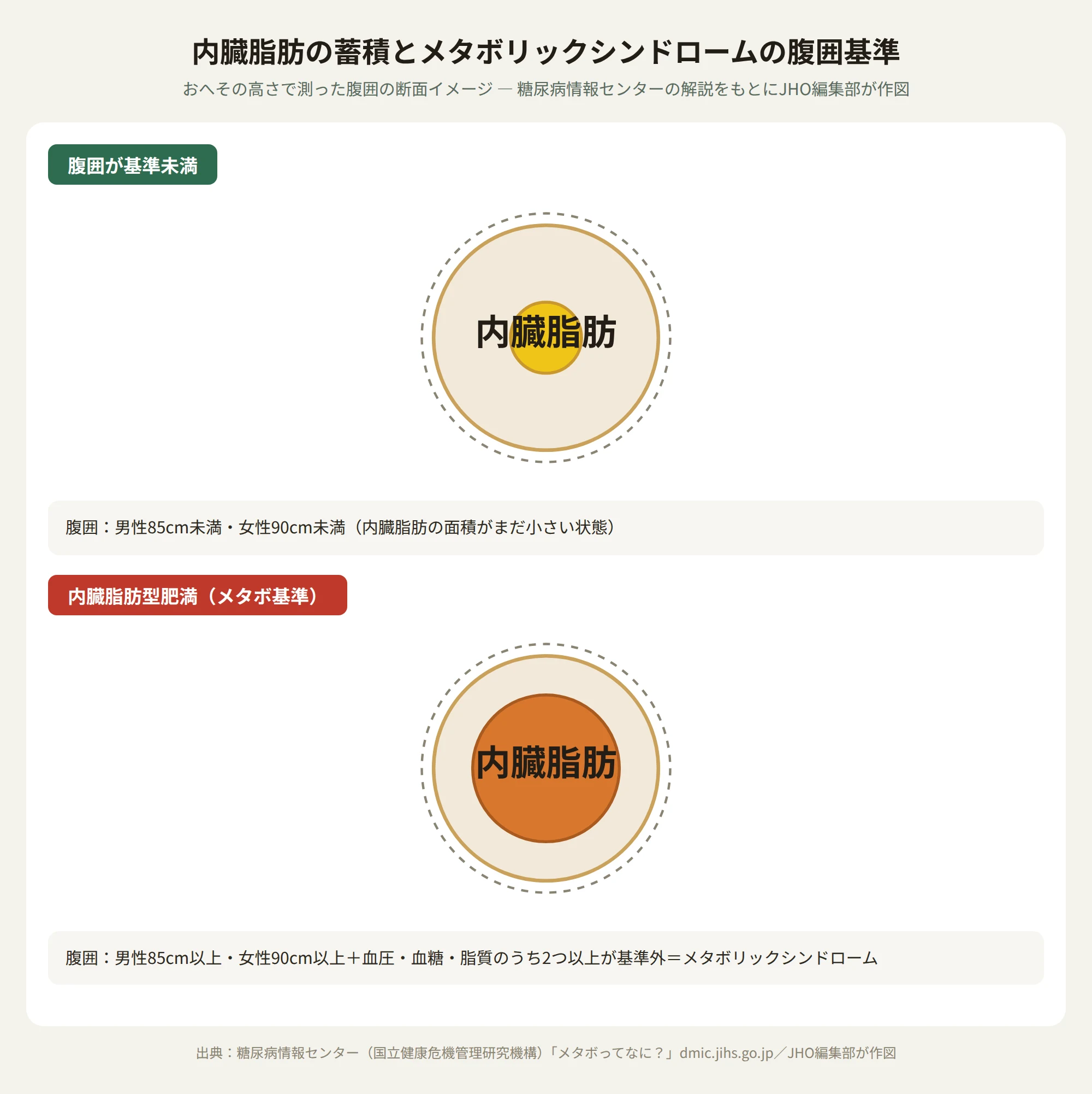 内臓脂肪の蓄積とメタボリックシンドロームの腹囲の目安を示す断面図。目安未満の状態と内臓脂肪型肥満の状態を並べて示す