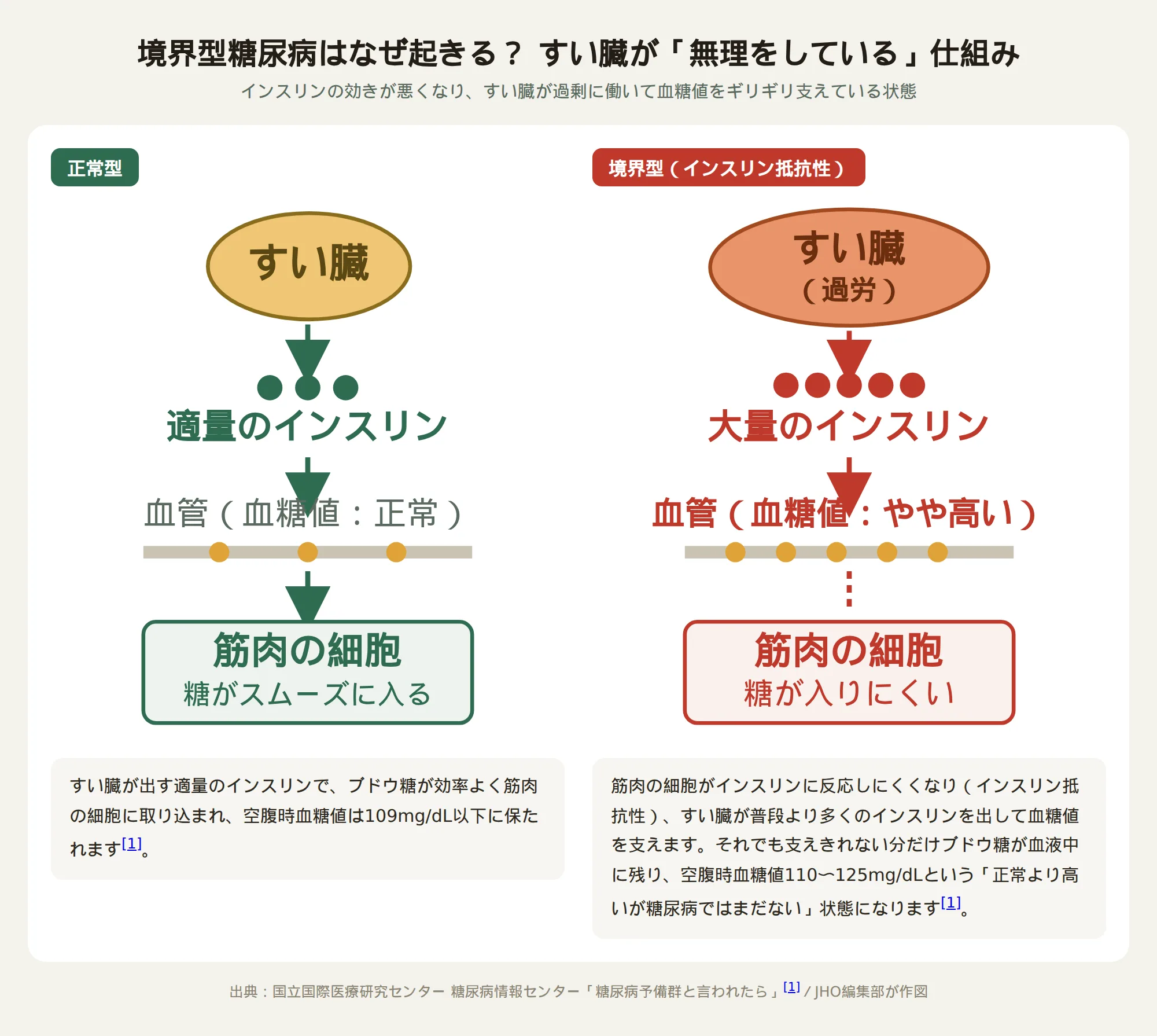 境界型糖尿病のメカニズム図解:正常型ではインスリンが適量で血糖値が保たれるが、境界型ではインスリン抵抗性によりすい臓が大量のインスリンを出しても血糖値がやや高くなる