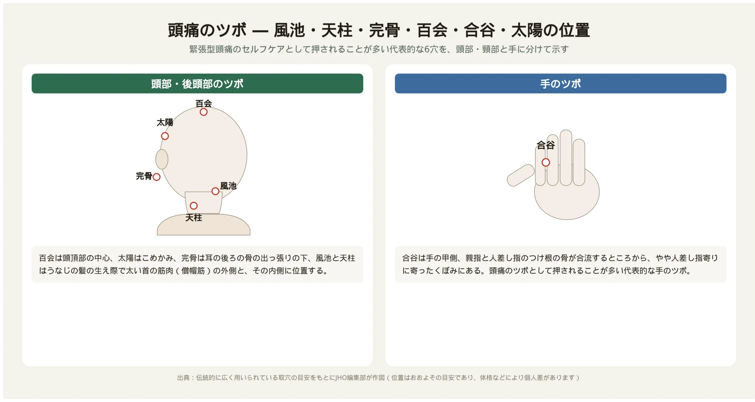 頭痛に用いられる風池・天柱・完骨・百会・合谷・太陽の位置を示した図