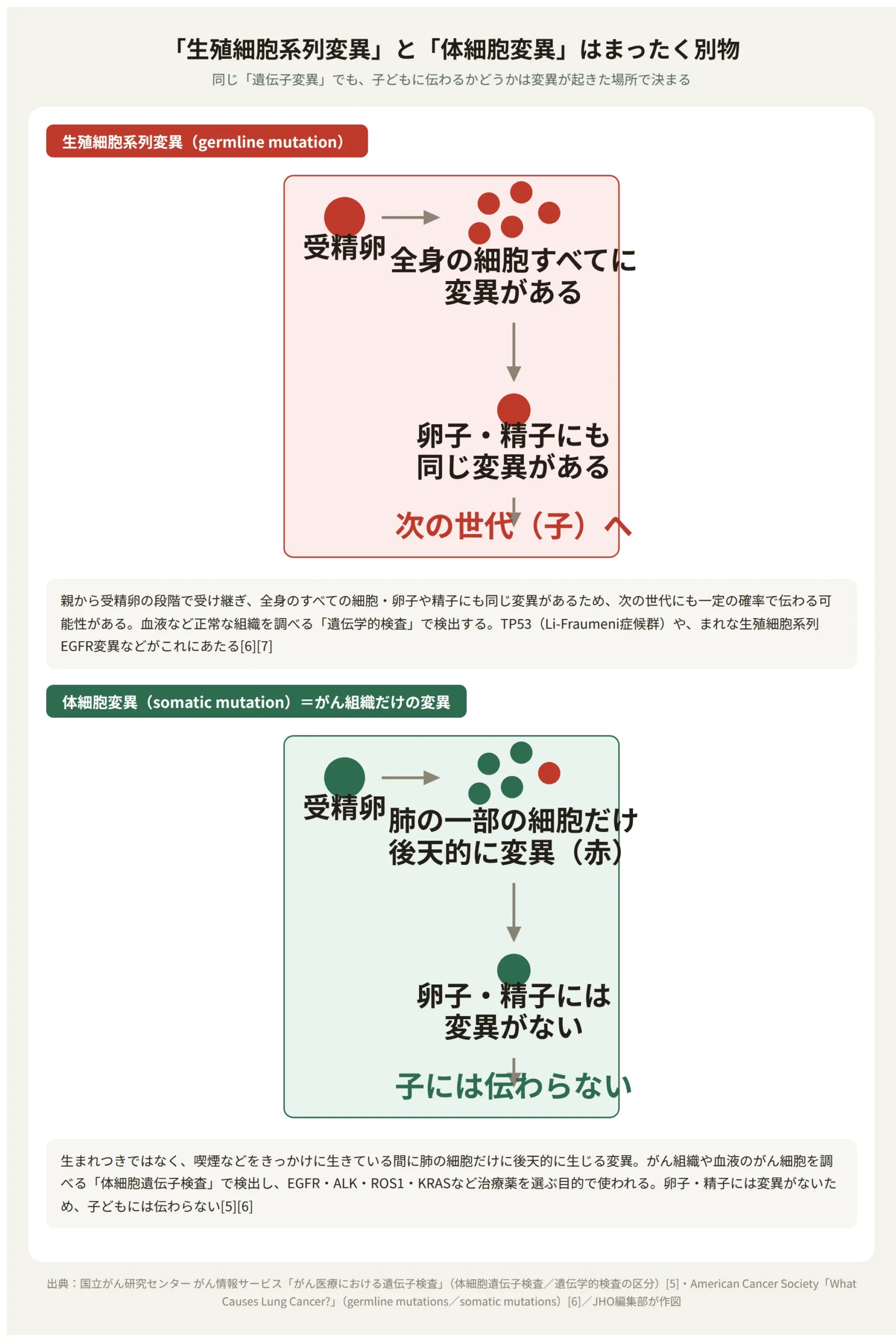 生殖細胞系列変異と体細胞変異の違いを示す比較図。生殖細胞系列変異は全身の細胞・卵子精子にあり子に伝わる可能性がある一方、体細胞変異は肺の一部の細胞だけの後天的な変化で子に伝わらない