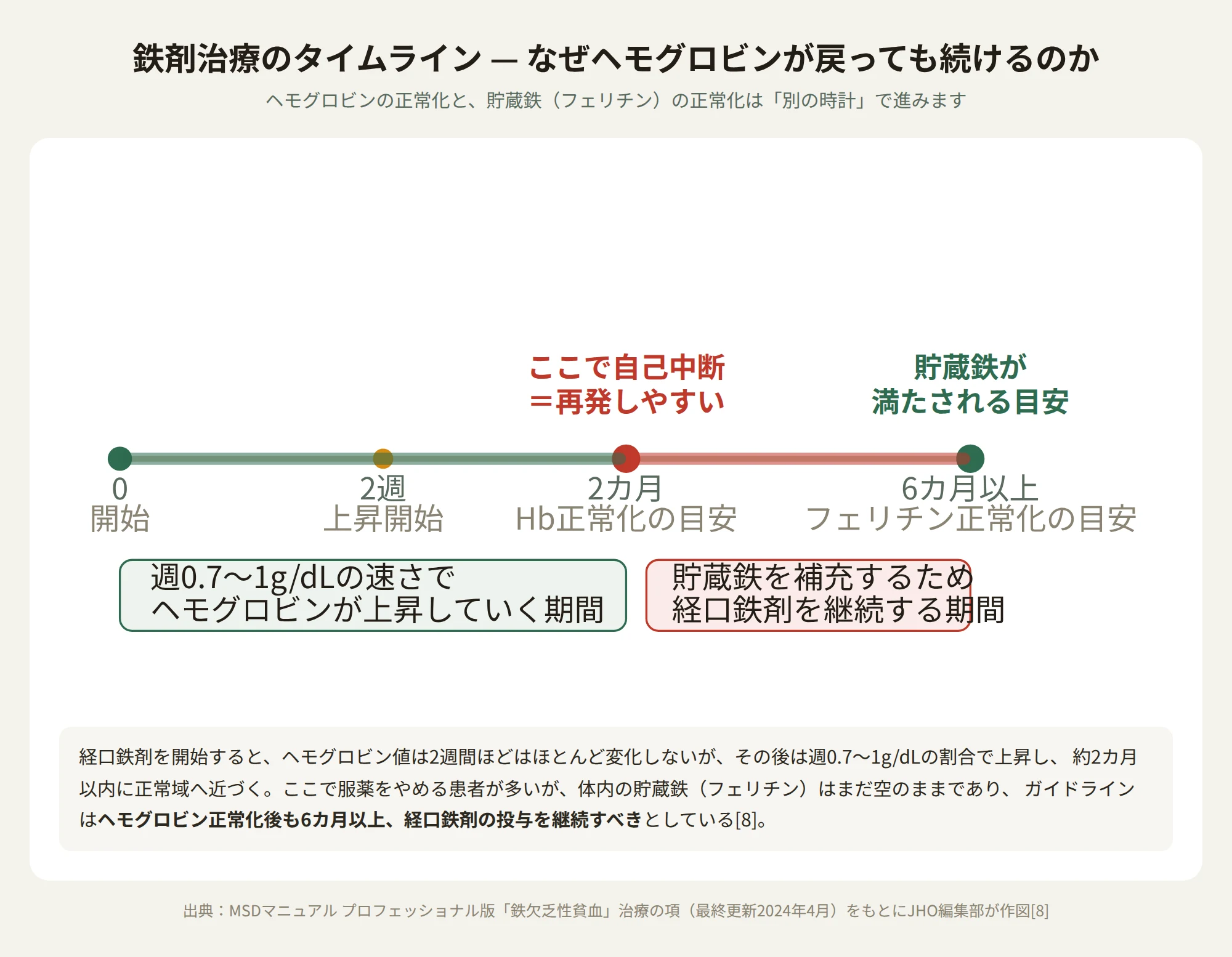 鉄剤治療開始から、ヘモグロビンが約2カ月で正常化し、その後6カ月以上かけて貯蔵鉄（フェリチン）が正常化するまでの流れを示すタイムライン図