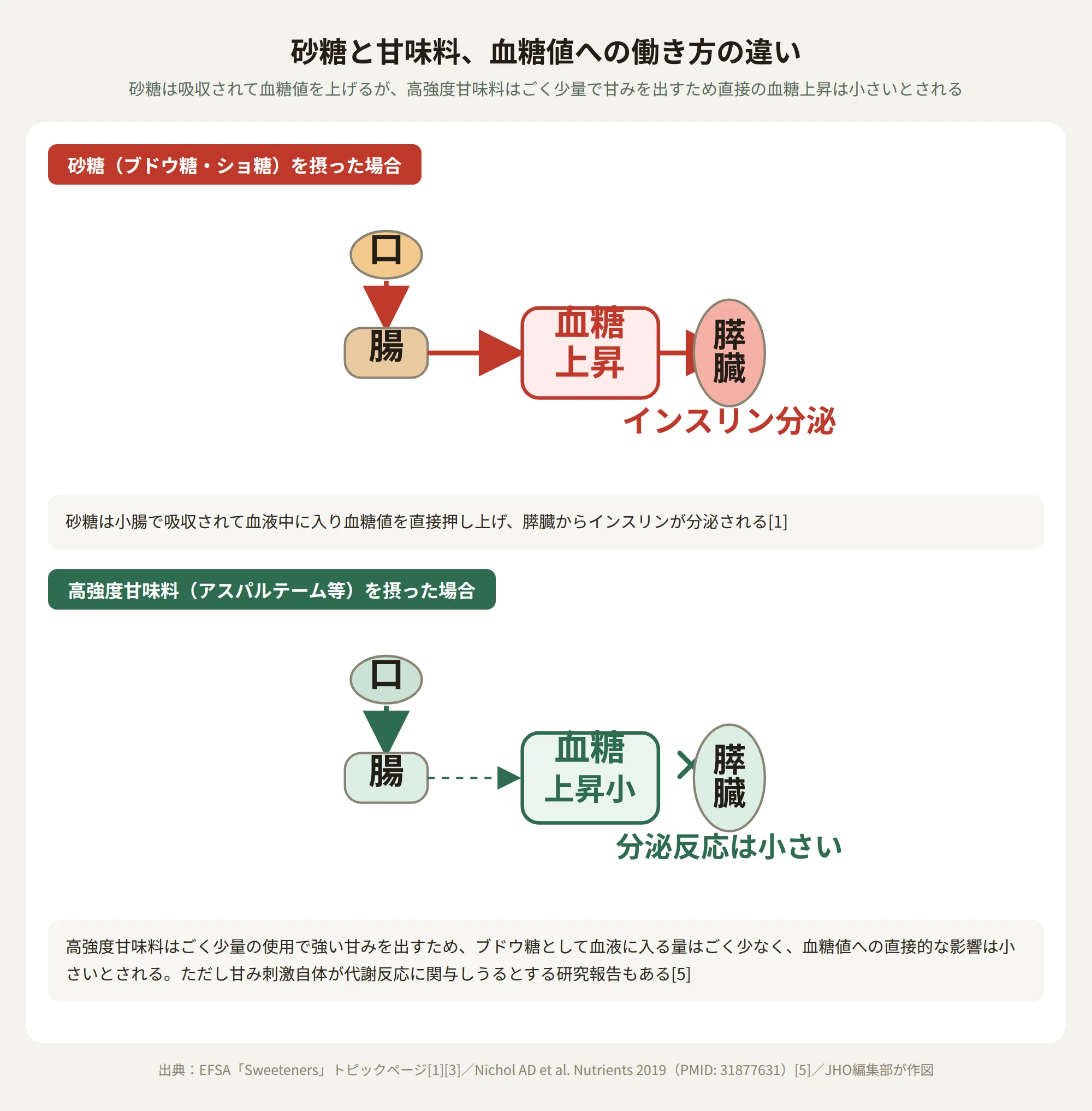 砂糖と甘味料の血糖値への働き方の違いを示す図。砂糖は腸で吸収され血糖値を直接上昇させ膵臓からインスリンが分泌されるが、高強度甘味料はごく少量のため血糖上昇は小さいことを示す