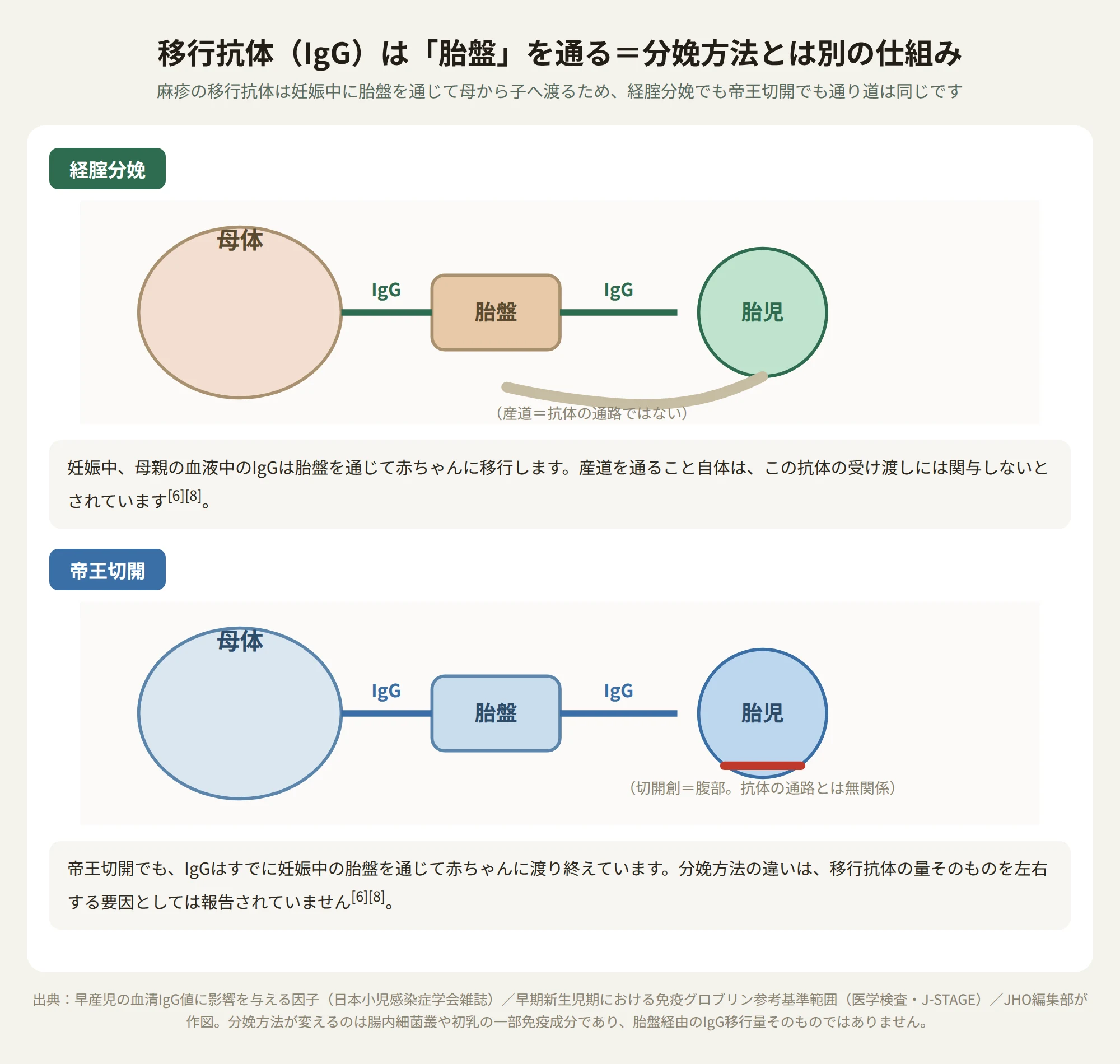 経腟分娩と帝王切開のどちらでも麻疹の移行抗体IgGは妊娠中に胎盤を通じて赤ちゃんに渡ることを示す図