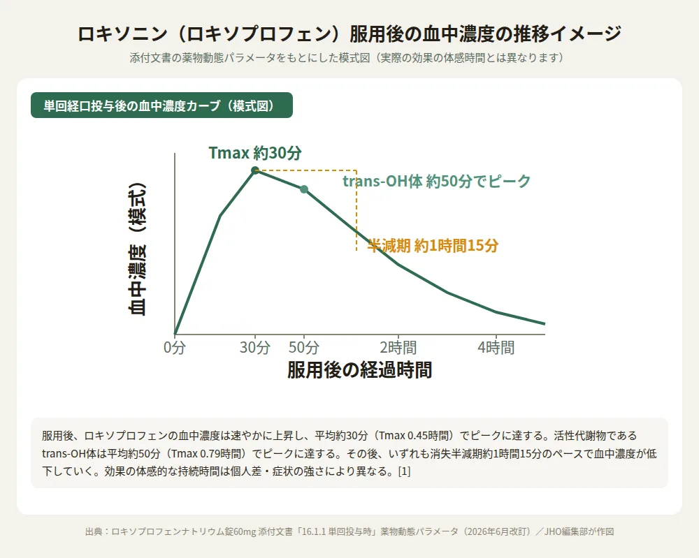 ロキソニン（ロキソプロフェン）服用後の血中濃度の推移を示す模式図。Tmax約30分、trans-OH体約50分でピーク、半減期約1時間15分